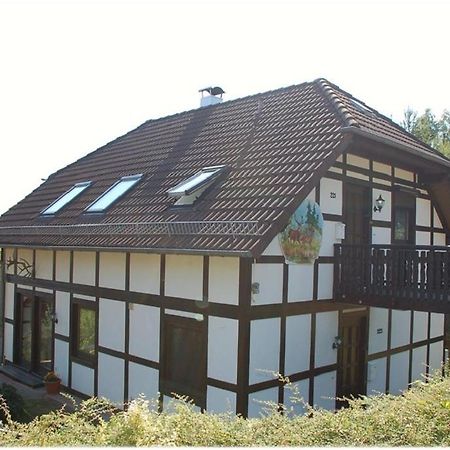Apartment Edersee Fuer 4 Personen Frankenau Zewnętrze zdjęcie